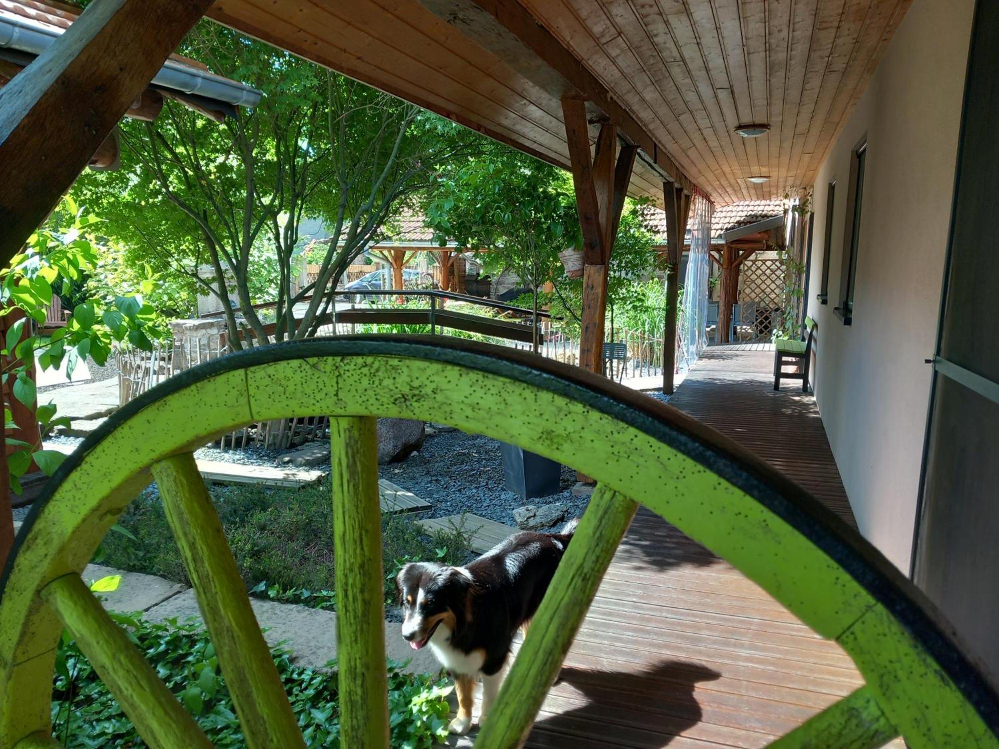 Hagebuche Bed & Breakfast Brouviller ภายนอก รูปภาพ
